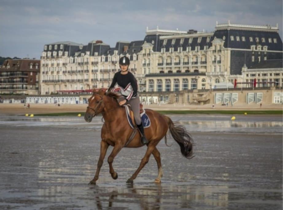 Convivialite Agreable Sejour Au Calme * Cabourg
